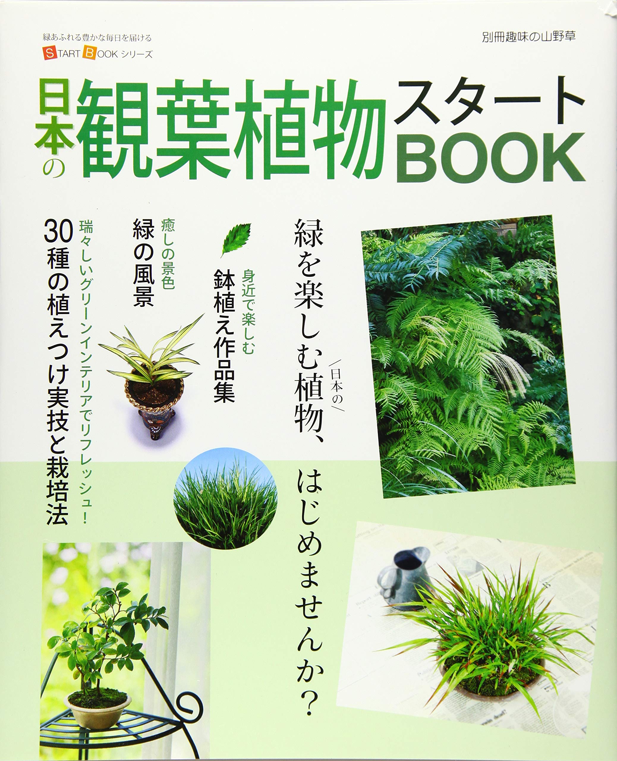 趣味の山野草 2017年01月号 趣味の山野草 2017年01月号